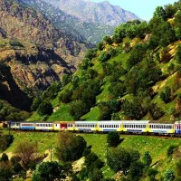 نیازمند همسفر