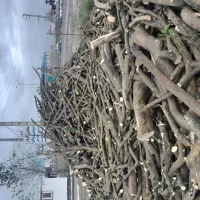 خریدار انواع چوب مرکبات