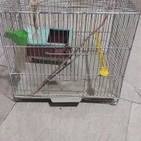 قفس پرنده