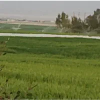 فروش ۱۰هکتار زمین کشاورزی ابی در مهران بعداز پل