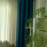 پرده حریر با دوتا دستک|پرده، رانر، رومیزی|تربت‌حیدریه, شهرک ولیعصر|دیوار