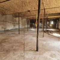 مرغداری گوشتی ۲۰هزاری به همراه زمین کشاورزی