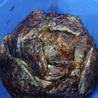 خرما بسته بندی گنتار و اعودی درجه یک