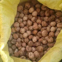 گردو چرب و خوش مغز