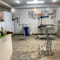 استخدام دستیار آرایشگر حیوانات