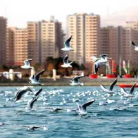 سهام تجاری پهنه طبیعت شهرک چیتگر ارتش غرب دریاچه