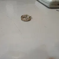 لنگه گوشواره طلا گم کردم.