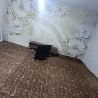 موکت طرح پارکت دو تیکه باهم.