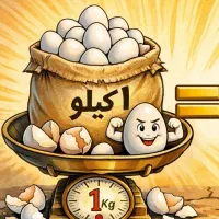 فروش عمده و خرده تخم مرغ