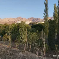 فرصت طلایی خرید باغ خوش‌منظره در شهمیرزاد