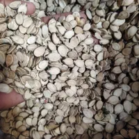 تخمه هندوانه درجه یک پرمغز خوش رنگ