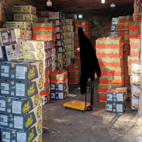 موز درجه یک|عمدهفروشی|یاسوج, |دیوار