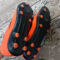 کفش|کیف، کفش، کمربند|قم, هنرستان|دیوار