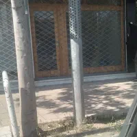 مغازه بهر چهار راه قائم
