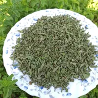 فروش نعنا خشک