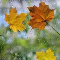 نظافت و شستشو در رستوران|استخدام سرایداری و نظافت|همدان, |دیوار