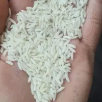 برنج آبچاه عمیق.محلی ارگانیک.کشاورزهستم بروجرد