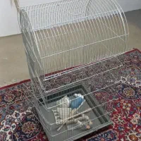 قفس مدل کاسکویی/لوازم جانبی