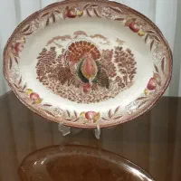 انواع دیس  قدیمی ژاپنی