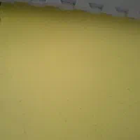 تاتامی فدارسیونی