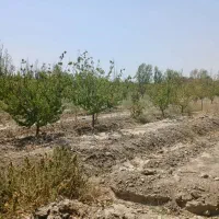 باغچه|فروش دفتر صنعتی، کشاورزی، تجاری|تهران, آبشار تهران (دریاچه)|دیوار