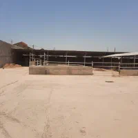دامداری وزین دام شوشتر