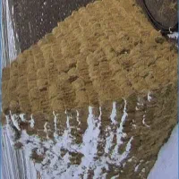 یونجه (چین دوم )