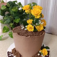 کیک های خاص خونگی|خدمات پذیرایی، مراسم|لاهیجان, انقلاب|دیوار