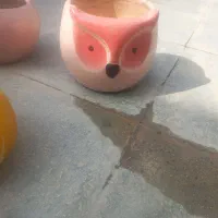 گلدان|گل و گیاه طبیعی|شیراز, شهدای شهرک سعدی|دیوار