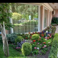 خدمات باغبانی هرسکاری سمپاشی کل کار باقیمت مناسب