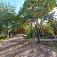 خانه باغ ویلا بازسازی شده پلاک ۱|فروش خانه و ویلا|تربت‌حیدریه, پائین ولایت|دیوار