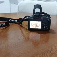 دوربین canon|دوربین عکاسی و فیلم‌برداری|رشت, گلسار|دیوار