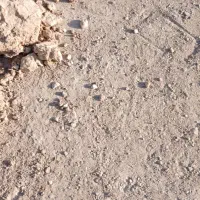 120-متر-دو-نبش-تجاری-مسکونی-نیرو-هوایی