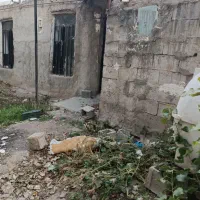 زمین|فروش دفتر صنعتی، کشاورزی، تجاری|مشگین شهر, |دیوار