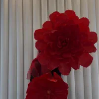 گل کاغذی و حریر