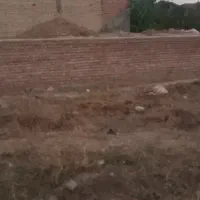 زمین یه شکار واقعی
