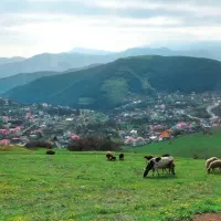 فروش زمین کوه چجا