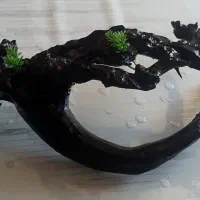 آکواریوم شیشه خم شرکتی|ماهی|لنجان, |دیوار