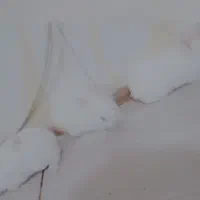 فاضل آباد گلستان 11 کوچه شهید فروغی|موش و خرگوش|فولادشهر, مسکن مهر فولادشهر|دیوار