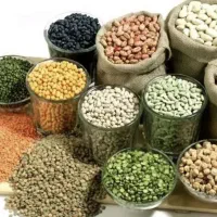 حبوبات درجه یک وتمیز خوش طعم وزود پخت