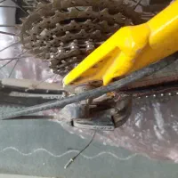 دوچرخه تایوانی اصلی اورلرد|دوچرخه، اسکیت، اسکوتر|خمینی‌شهر, |دیوار