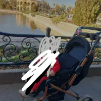 کالسکه مدل بنیتا