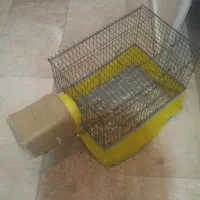 قفس پرنده