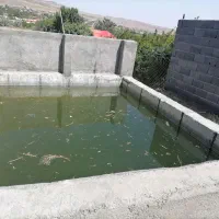 باغچه|فروش خانه و ویلا|قم, ولیعصر|دیوار