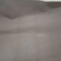 موکت|موکت|بوکان, |دیوار