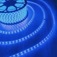 ریسه شلنگی وایرلس ، هفت رنگ (RGB) و نئون اقساط|لامپ و چراغ|کرمان, |دیوار