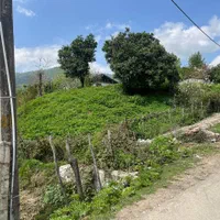فروش زمین ۷۰۰ متری لوکیشن عالی(روستای لیپا)|فروش زمین و ملک کلنگی|ماسال, |دیوار