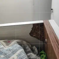 مجموعه تخت دوطبقه|تخت و سرویس خواب|تهران, نیکنام|دیوار