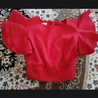 ناف نما مجلسی