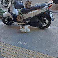 لاکی ۱۸۰ مدل ۱۴۰۱